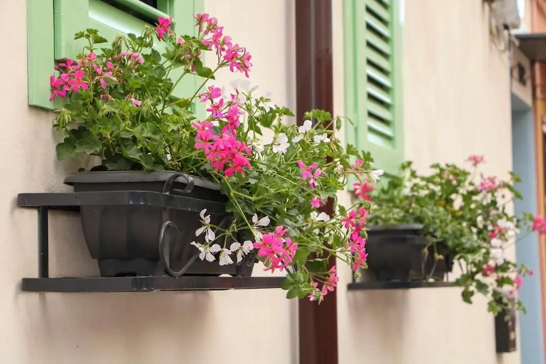 Donna Carmela Villa Porticello Holiday home